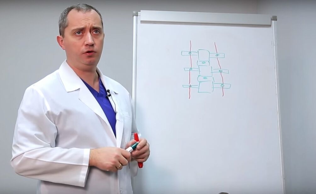 Доктор показывает структуру позвоночника
